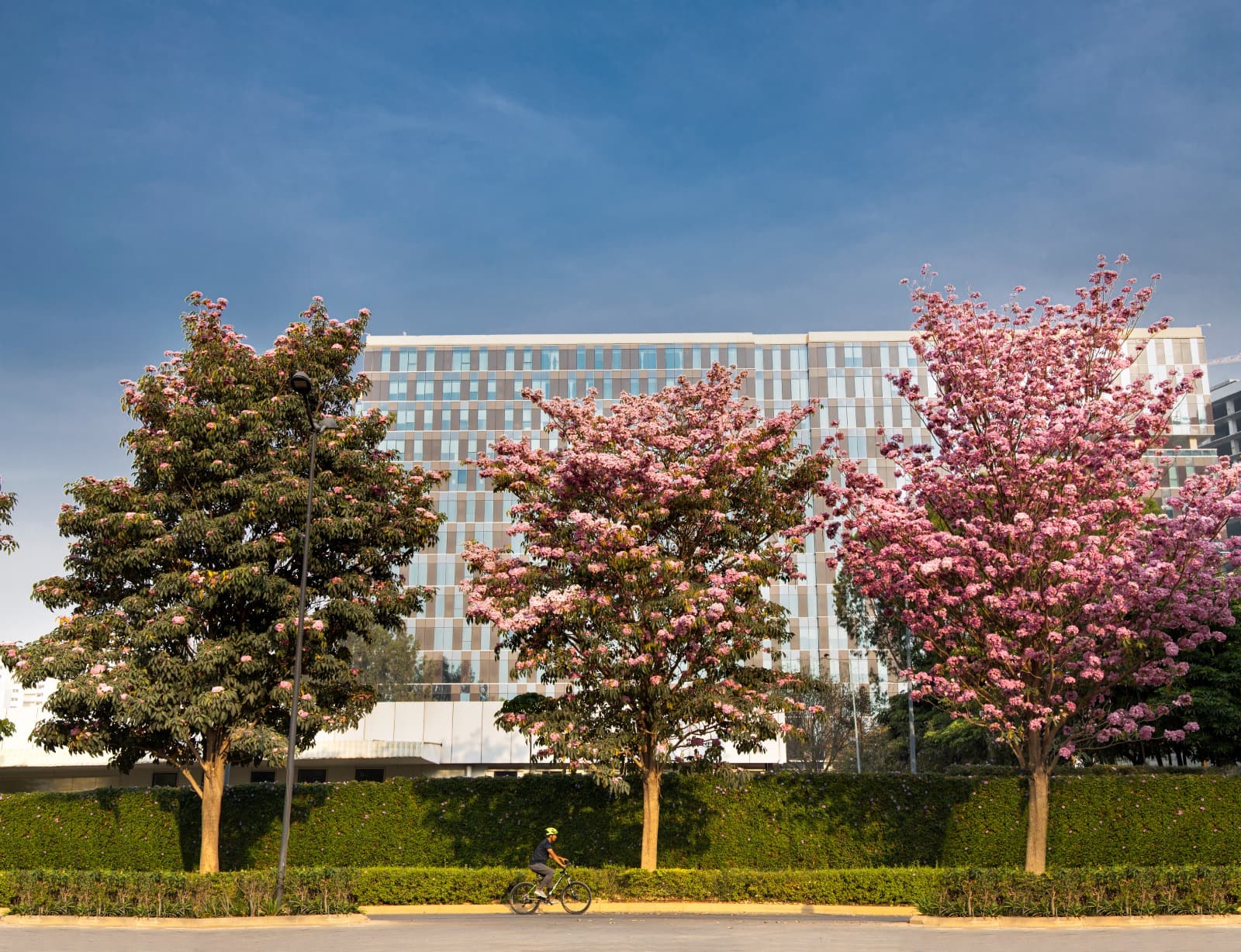 Yenepoya University Bangalore Campus photo 2